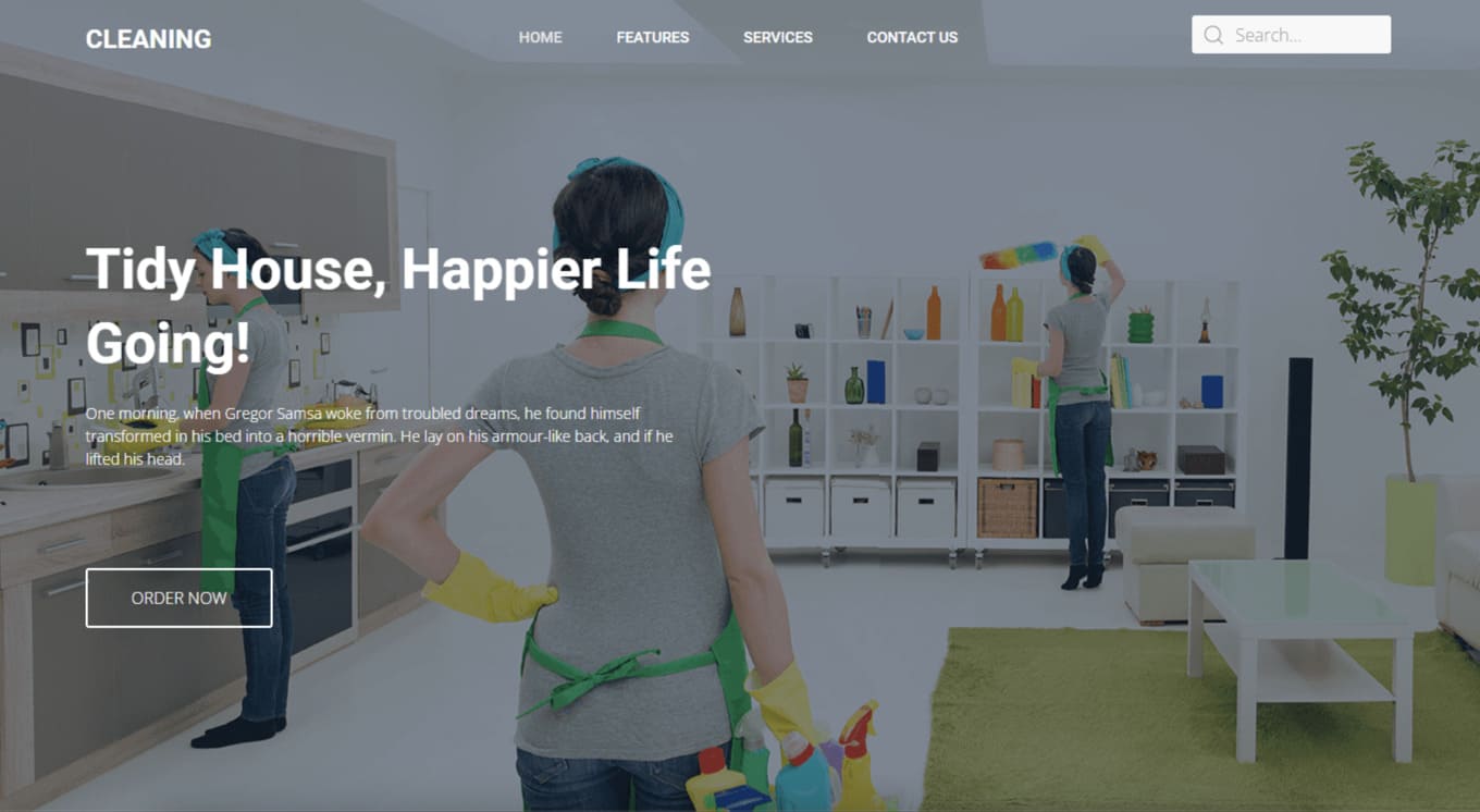 cleaning service web deisgn project